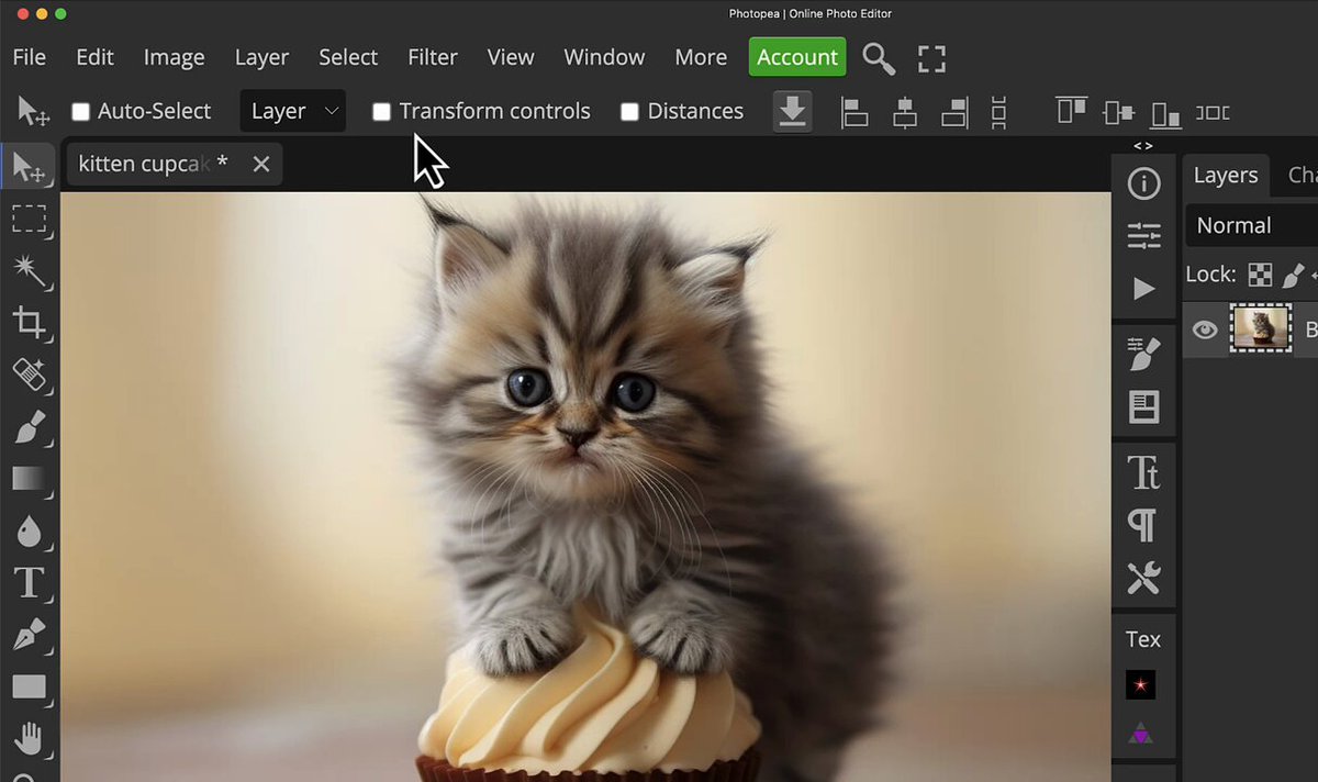 Photopea  Online Photo Editor