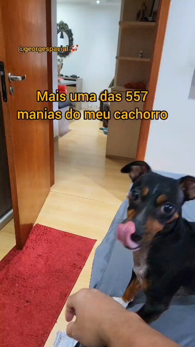 22 razões para acreditar que somos todos um pouco Sr. Madruga