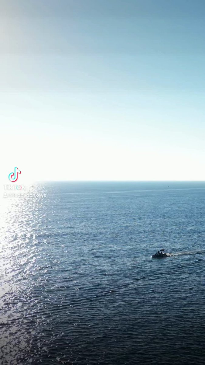 Oceankacha|TikTok Search