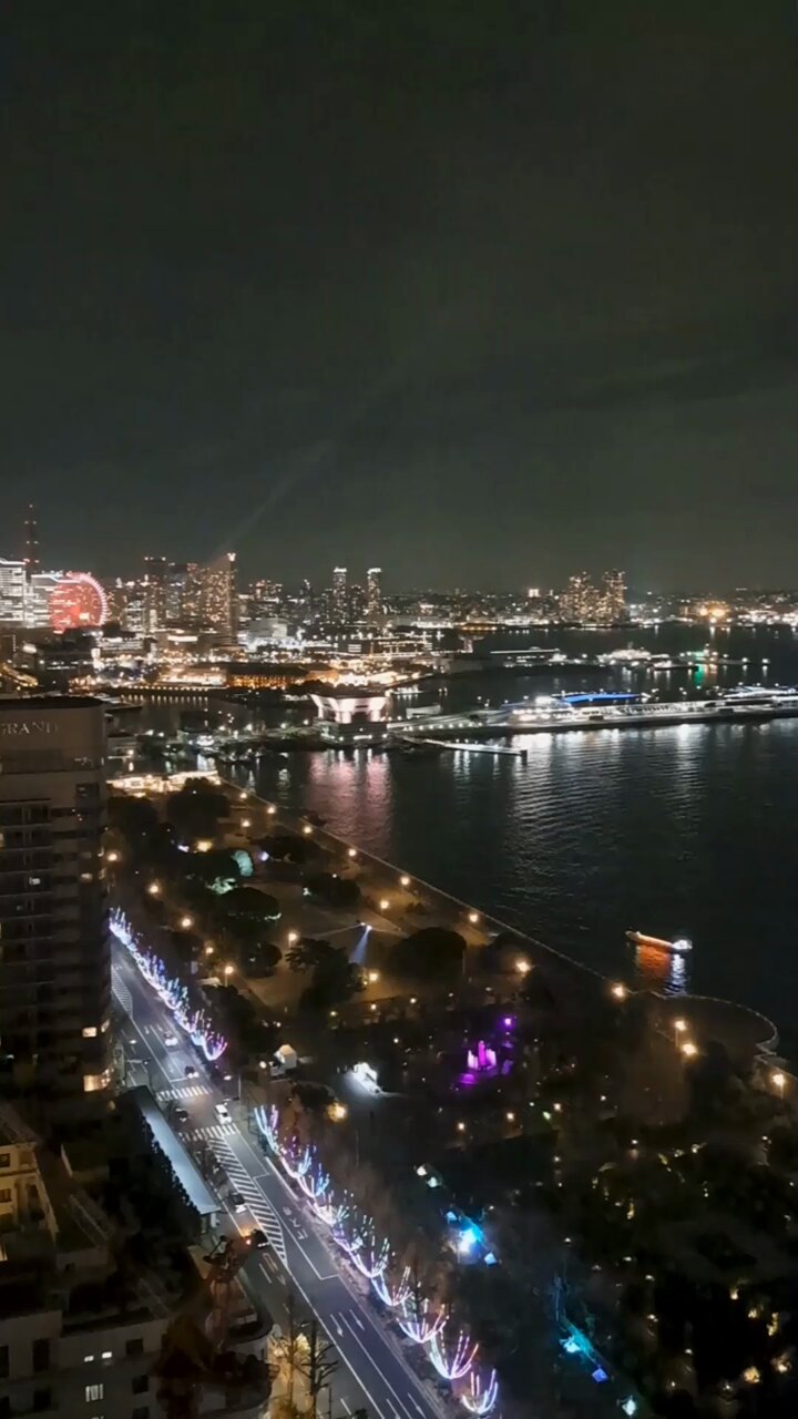 クリスマスイルミネーション❤️汽車ポッポ❤️ 横浜赤レンガ倉庫のクリスマスマーケットへ。昼は犬を連れて、夜