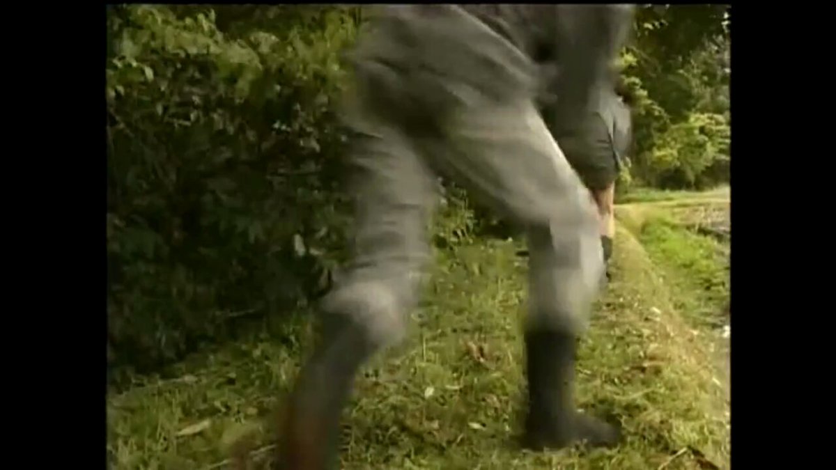 目撃者の談話 「あれは倉庫の屋根裏で作業していた時でした。 男が女を引きずり込んできたです。倉庫に。 辺りをキョロキョロと見回した男は、女の服を脱がし始めました。 その後、男もチンポ出して、女に覆いかぶさって…。 〇姦ってやつですか。初めて生で見ましたよ。正直驚きました。」