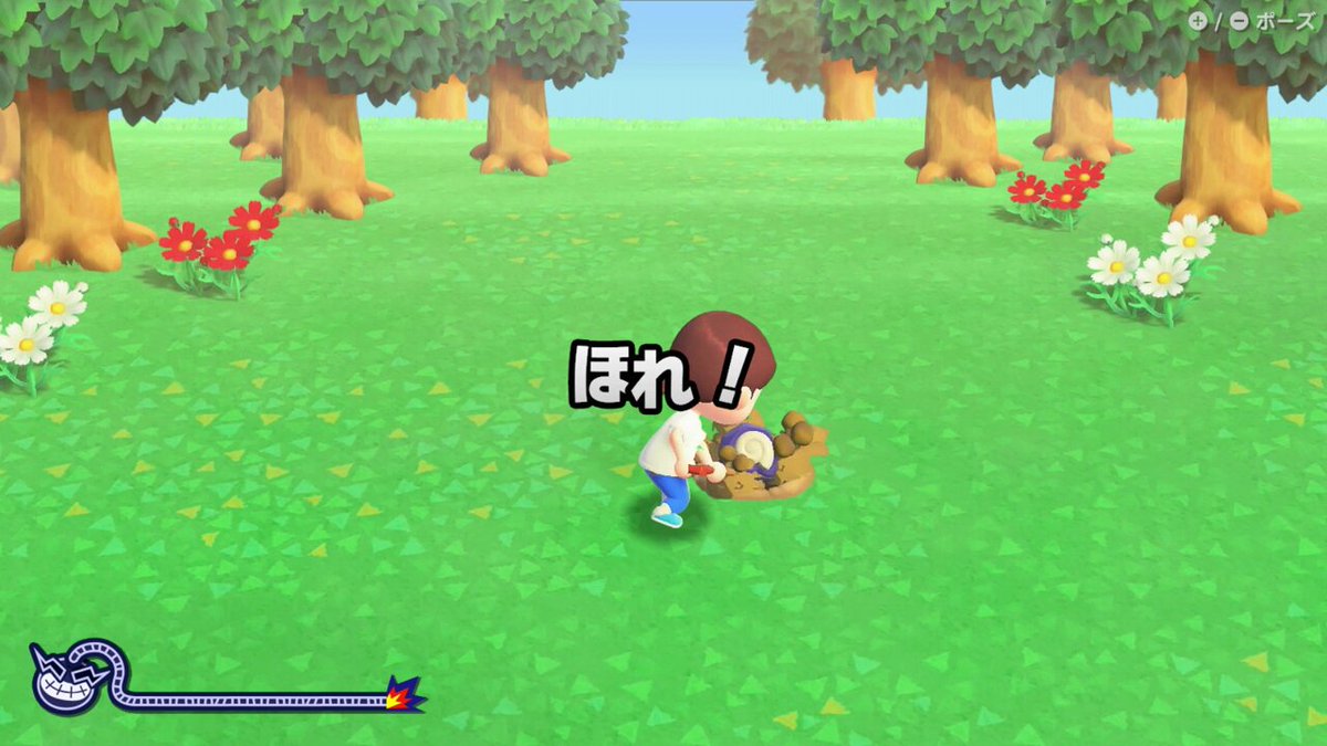 どうぶつの森 on X: 