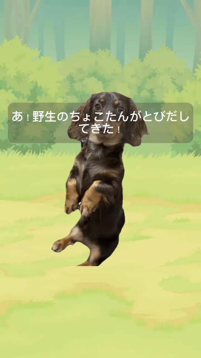 @7izG4tgiSpbpp2j's video Tweet @7izG4tgiSpbpp2j's video Tweet