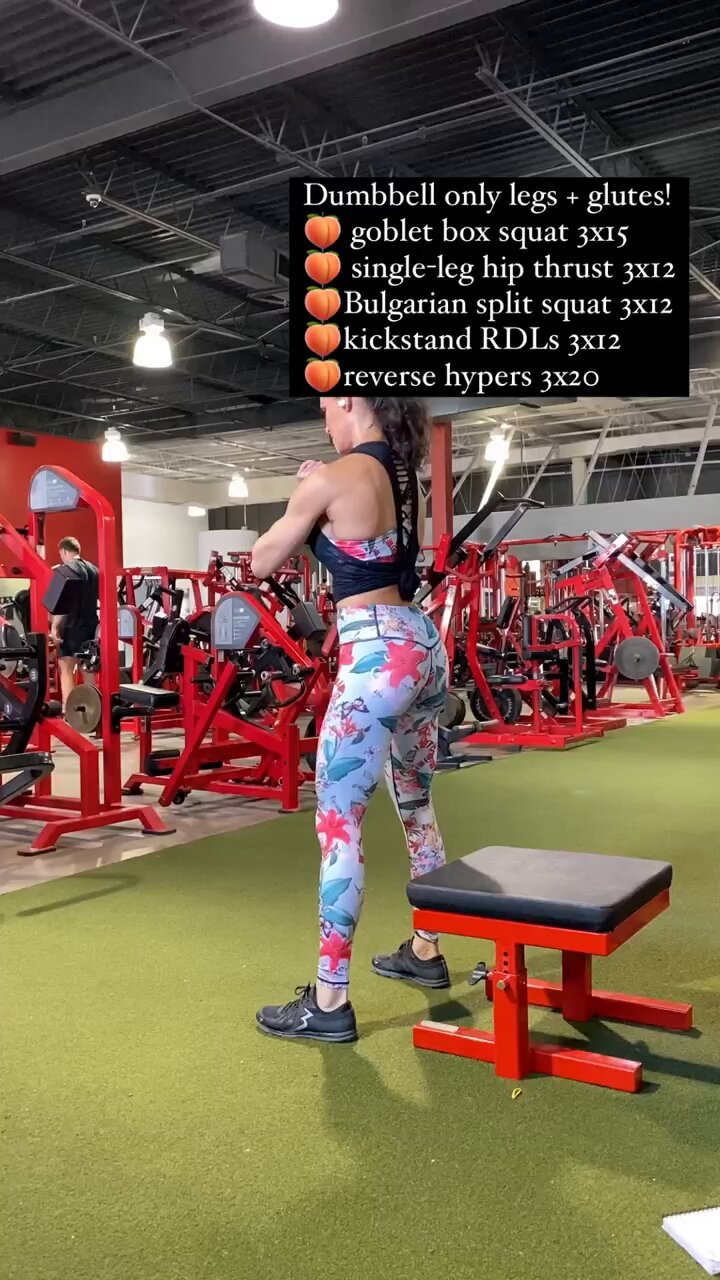 Dumbbell goblet box squat deals