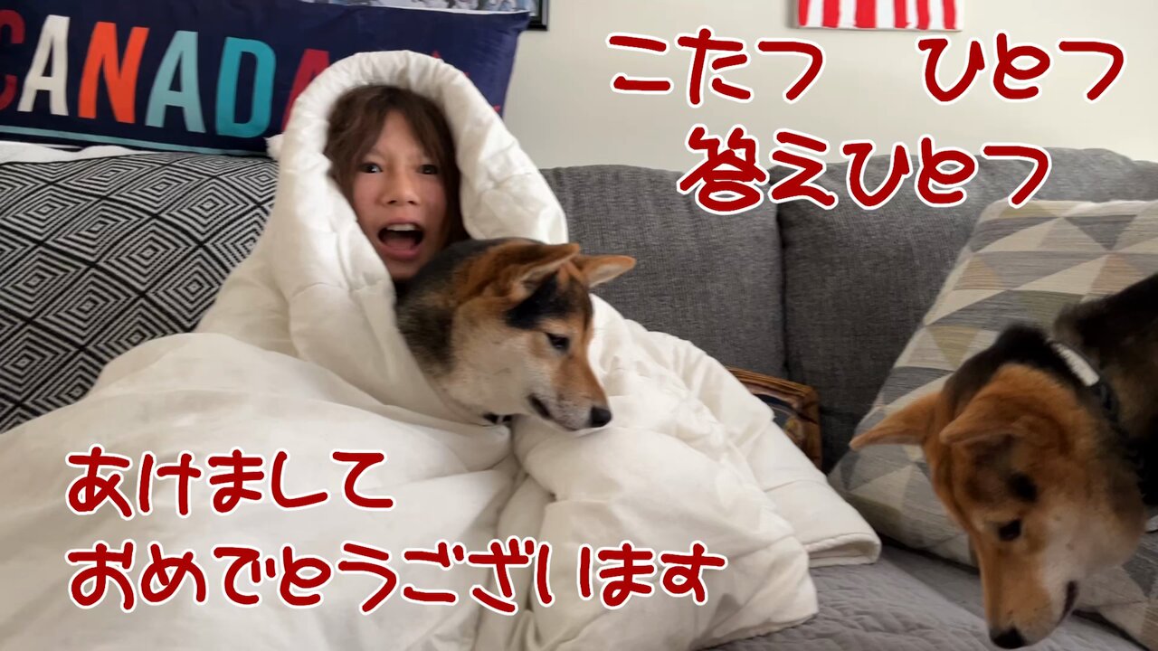 新年2024 - Search / X