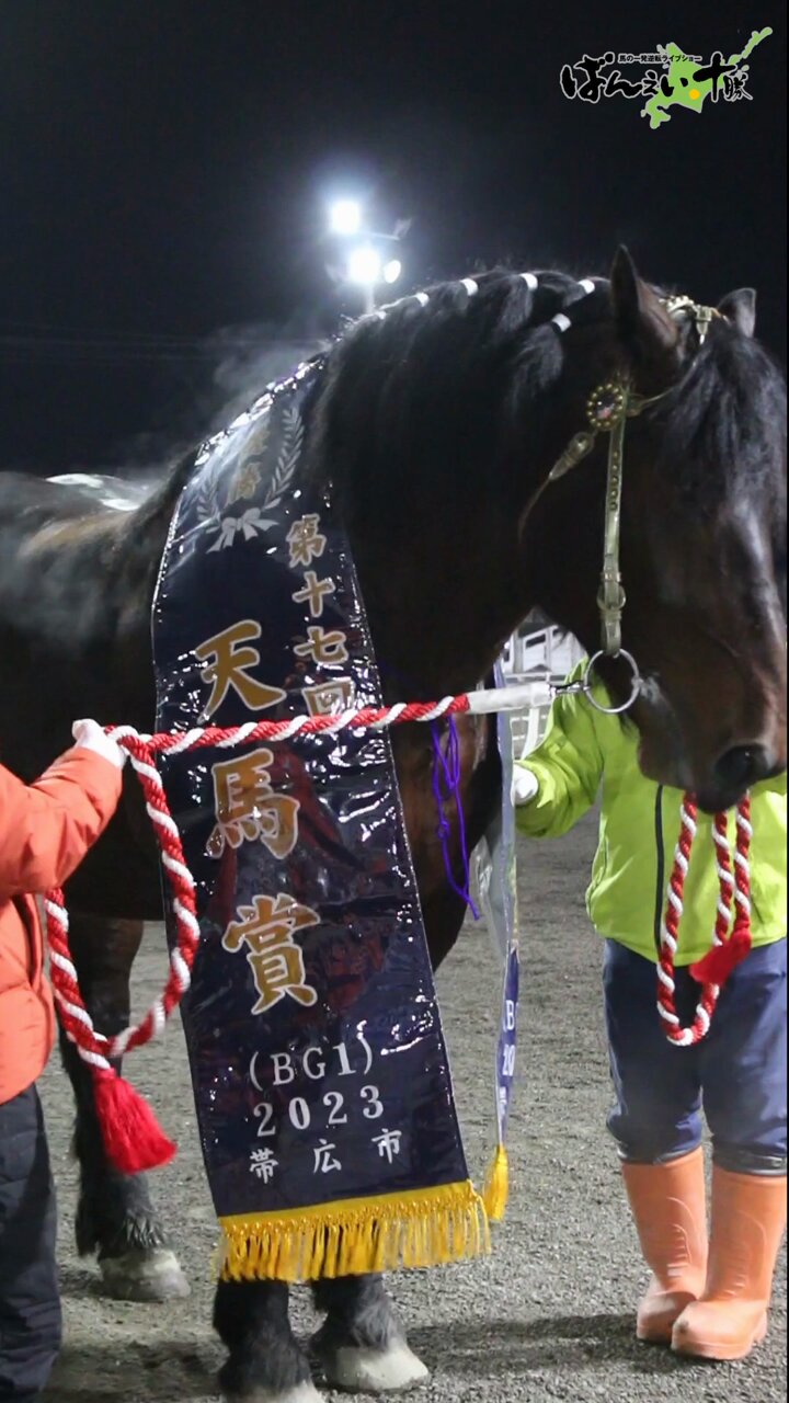 競馬 歴代ばんえい最強馬投票優勝馬 鈴木恵介騎手直筆サイン木箱 証明書入り蹄鉄 oeVZBlB51638177706_m.jpg