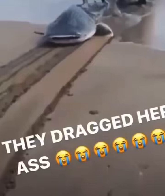 Harry Kane taking Dier to Germany  https://t.co/lmkIHoV0q6<a href="/tag/three"class="tags"><span>#three</span></a>