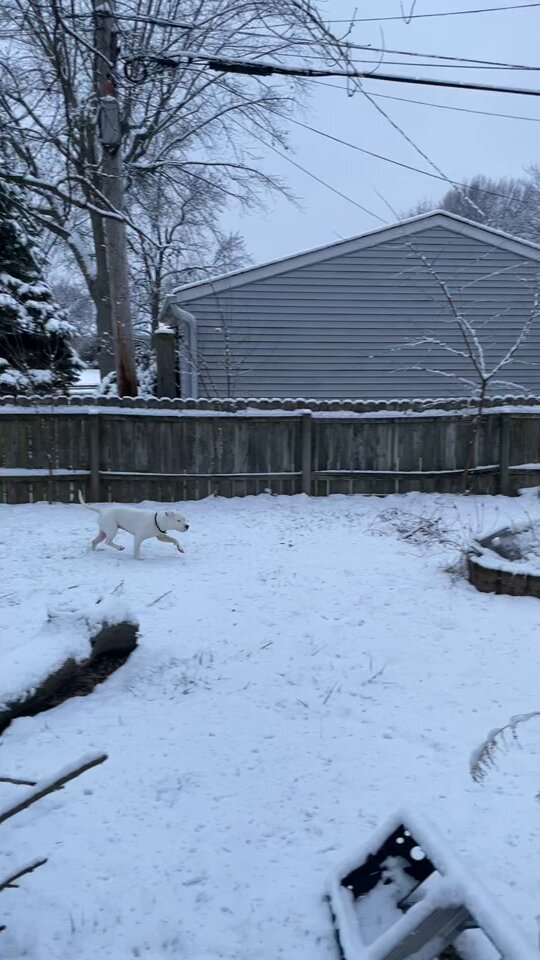 ちぃたん☆／Chiitan (@chiitan7407) / Posts and Replies / X