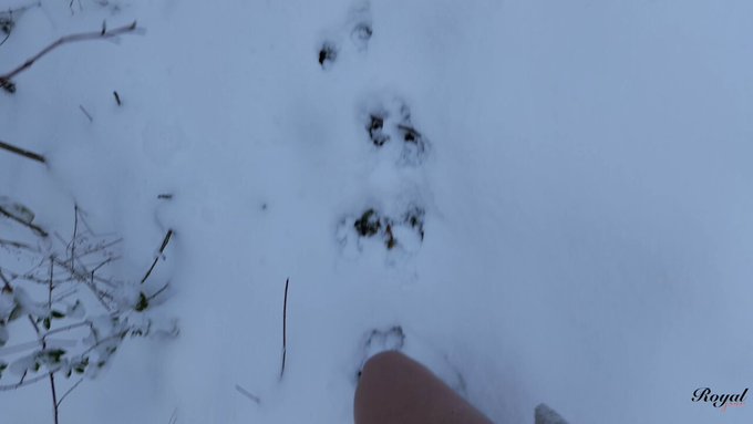 Non, je n'ai pas eu froid 🤪 https://t.co/iAVpQShyiM https://t.co/ZYyNRTxGqa<a href="/tag/wonderwoman"class="tags"><span>#wonderwoman</span></a><a href="/tag/fyp"class="tags"><span>#fyp</span></a>