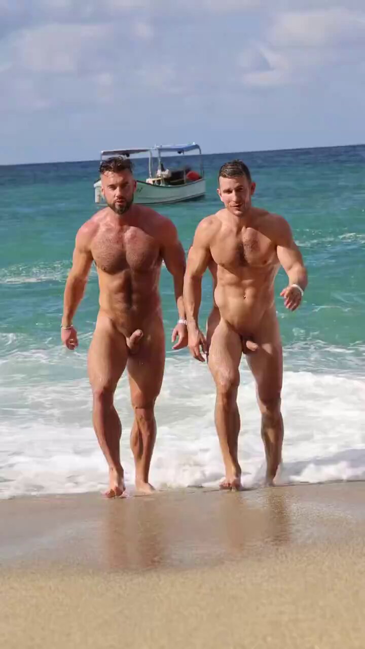 nude Festival public cocks 