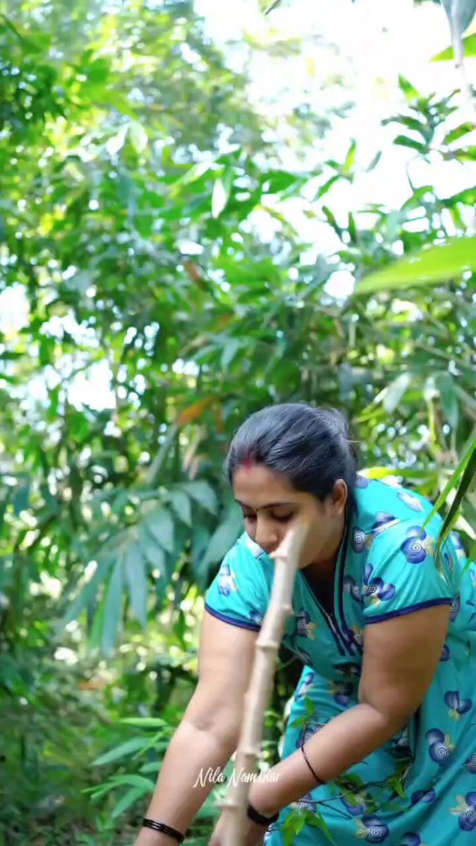 @Nila_Nambiar_s video Tweet