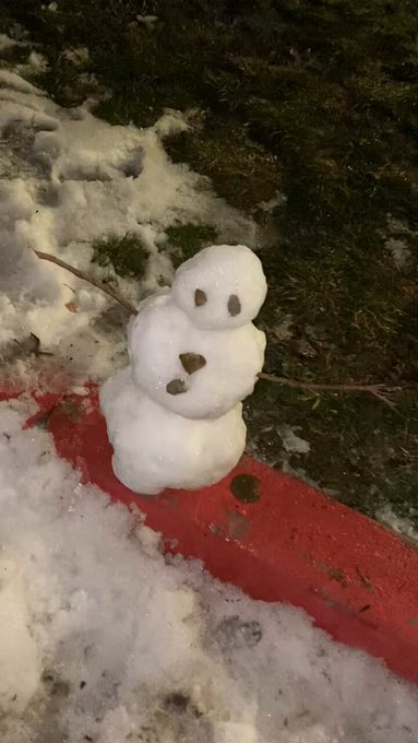 I built a little snowman y&rsquo;all! #SLR https://t.co/YNgAkNbocz<a href="/tag/slr"class="tags">#SLR</a>