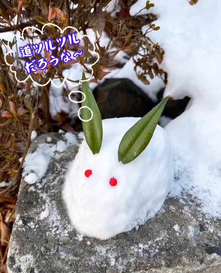 雪兎 - البحث / X