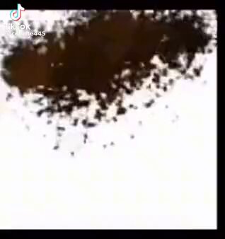 O &oacute;dio que eu tenho por ter humor gera&ccedil;&atilde;o z quando todo mundo aqui no trabalho &eacute; millennial https://t<a href="/tag/iwannabetour"class="tags"><span>#iwannabetour</span></a>