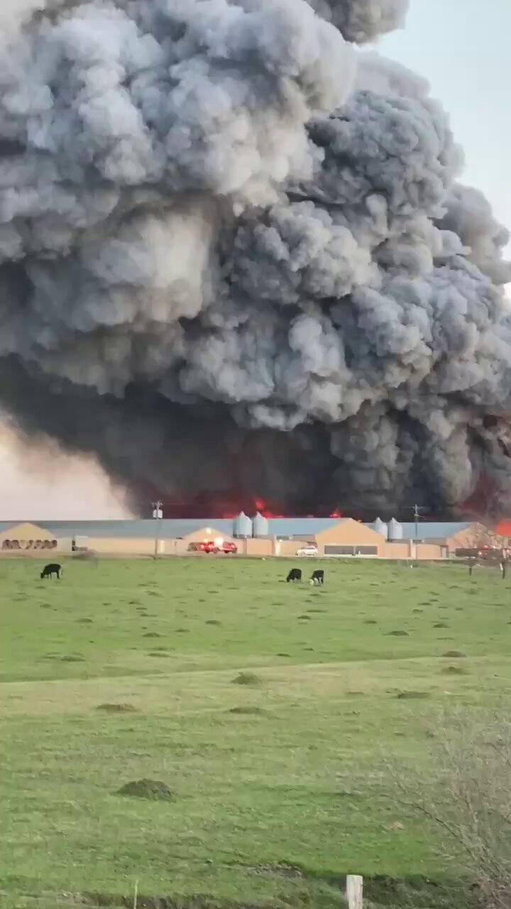 [爆卦] 美國德州養雞場爆炸起火