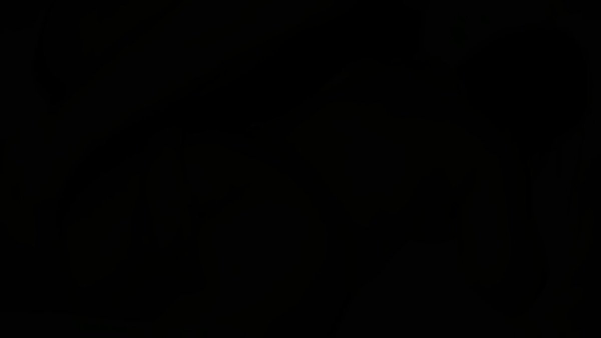 Video by @sdmochida_pic