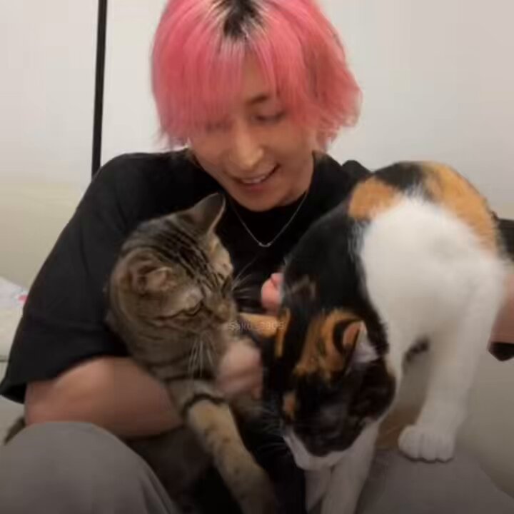 ① ピンク すのチル つなぎ チルぬい スノチル 佐久間大介 さっ