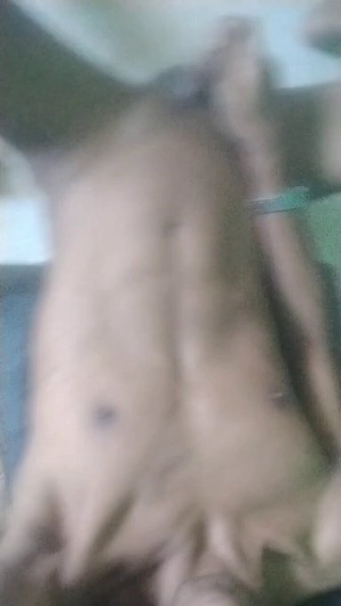 Training https://t.co/COfXbn6Le8<a href="/tag/gay"class="tags"><span>#gay</span></a><a href="/tag/cloud"class="tags"><span>#cloud</span></a><a href="/tag/meth"class="tags"><span>#meth</span></a><a href="/tag/biseksual"class="tags"><span>#biseksual</span></a><a href="/tag/asiangayboy"class="tags"><span>#asiangayboy</span></a>