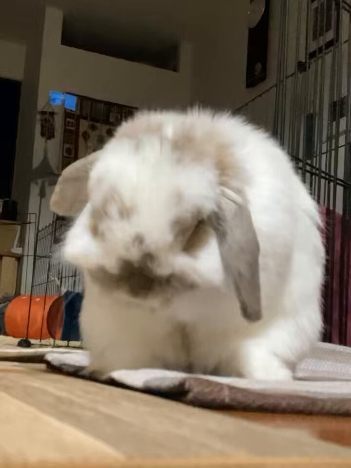 みっちゃん✕2 みっちゃん✕2 みっちゃん (@mi.zx4r.ch) • Instagram photos