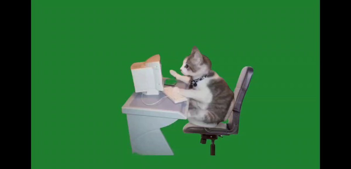 猫ミーム 最近よく聞く猫ミームとはいったいにゃんだい！？ #猫 #cat #猫