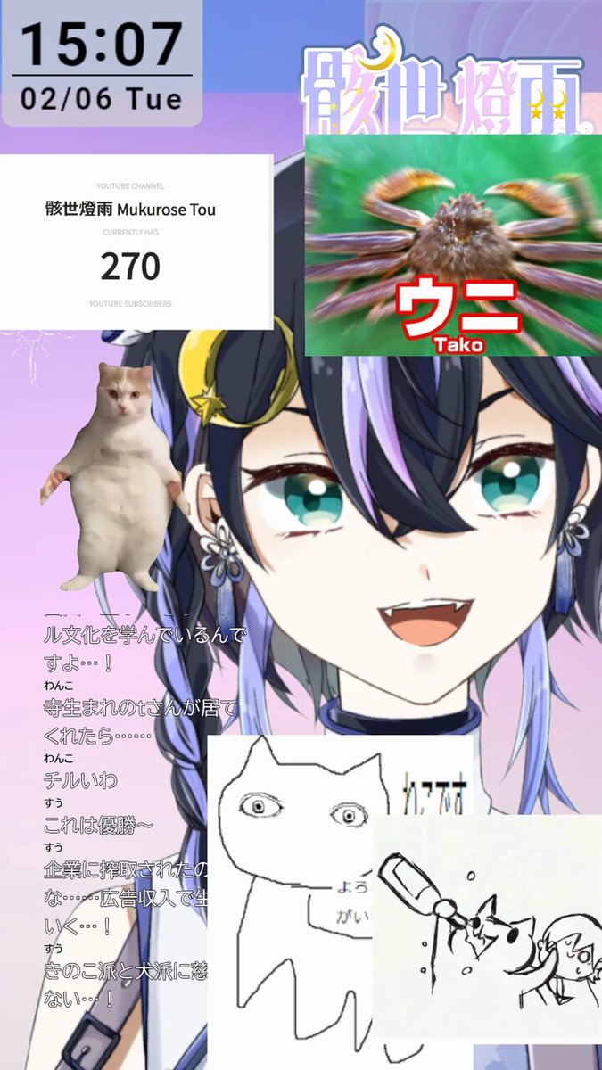 ねこですよろしくおねがいします