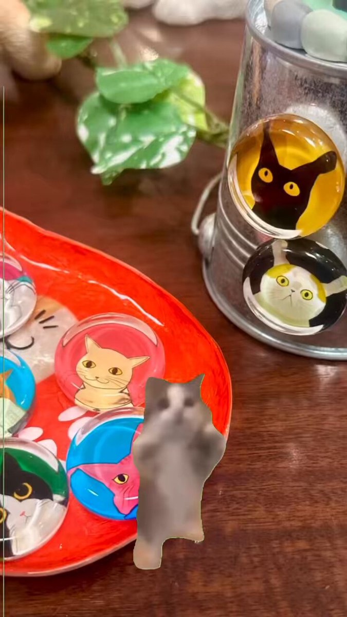 猫まっしぐら -cHgCVRR_200x200.jpg