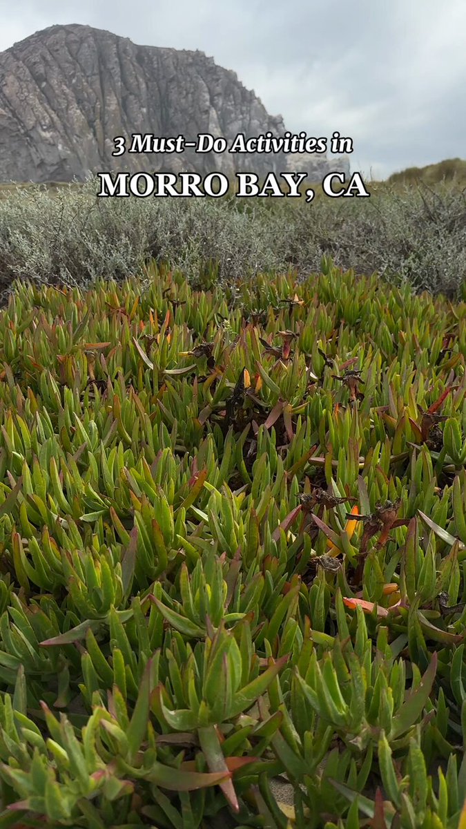 12 Magical Things to do in Morro Bay, California (by a local)