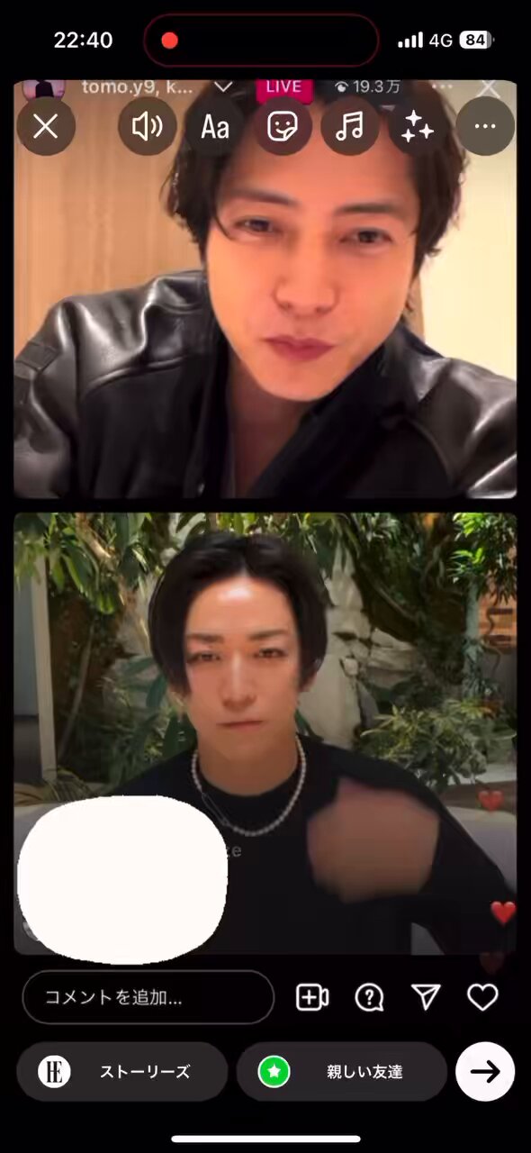 亀と山P image.jpg