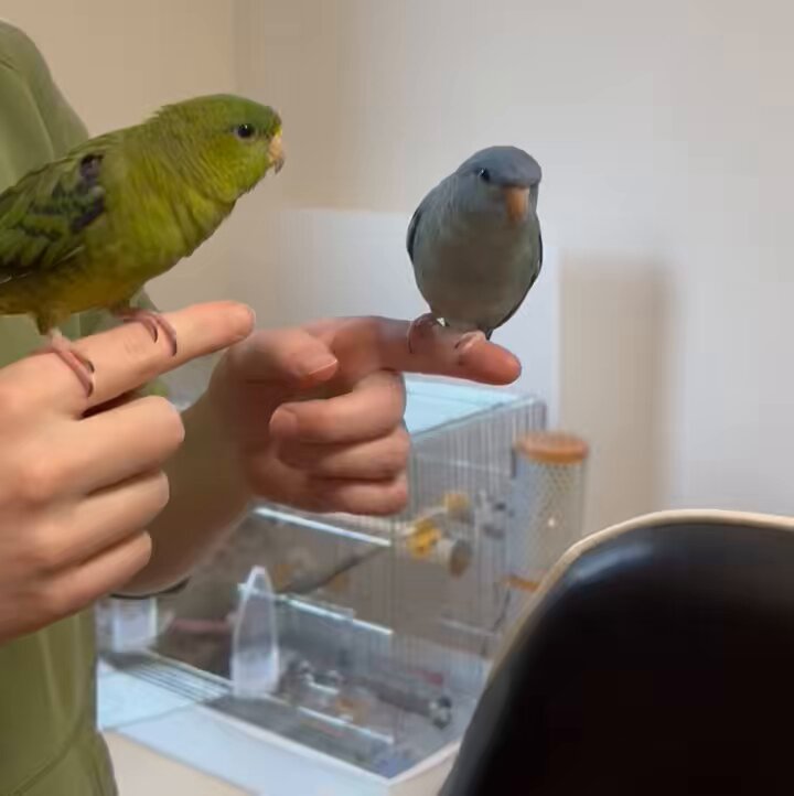 【2024年02月前半】フフッとなったお気に入りツイート (3ページ目) Togetter [トゥギャッター]