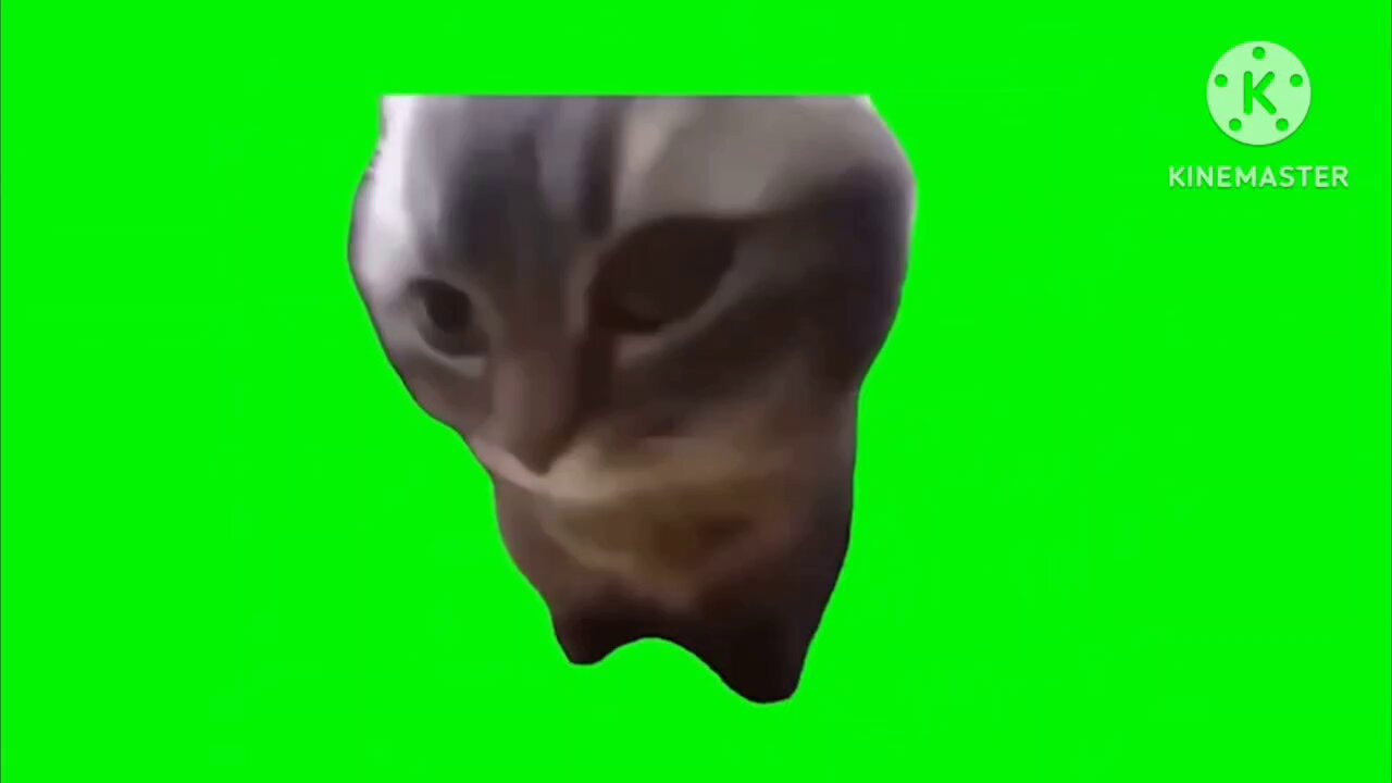 緑茶 on X: 