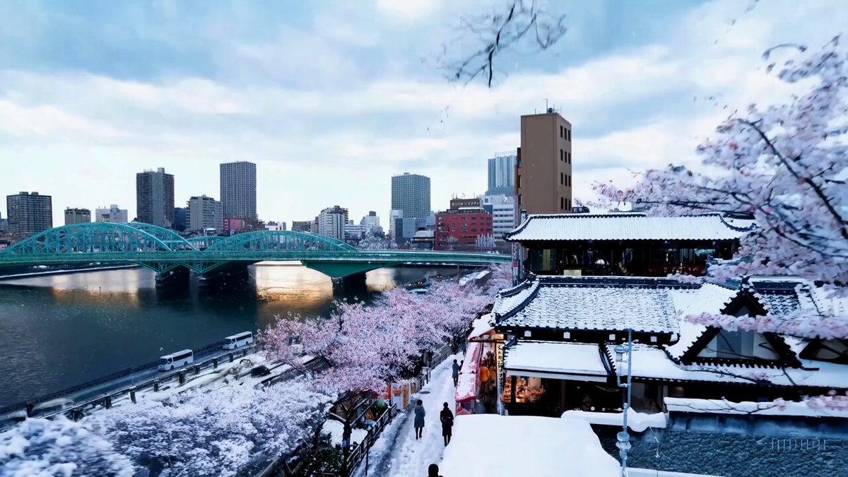 Beautiful, snowy Tokyo city is bustling. The camera moves through the bustling city street, following several people enjoying the beautiful snowy weather and shopping at nearby stalls.