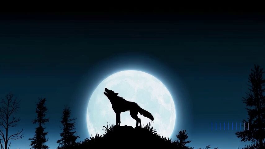 A beautiful silhouette animation shows a wolf howling at the moon, feeling lonely, until it finds its pack.