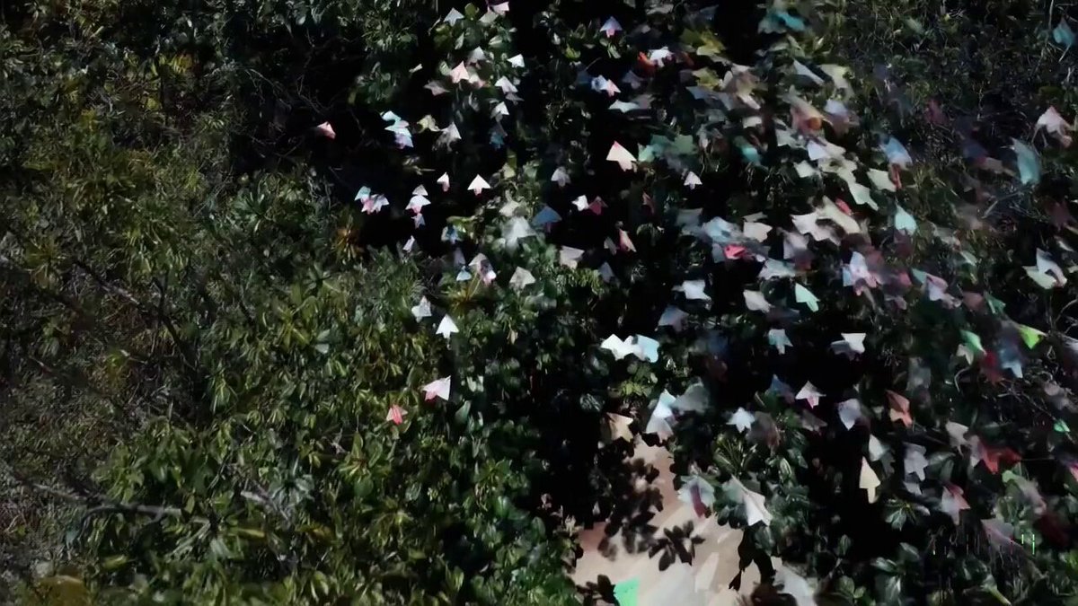 A flock of paper airplanes flutters through a dense jungle, weaving around trees as if they were migrating birds.