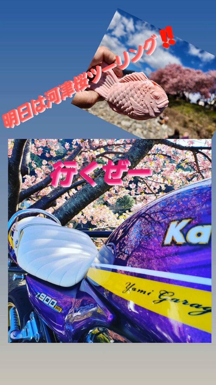 コマちゃん_Official (@Komachann) / X
