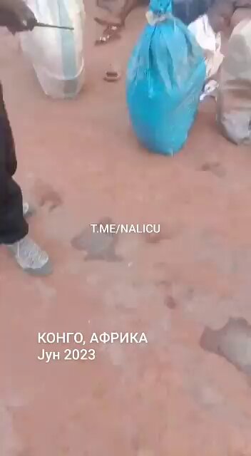 [問卦] 非洲黑人自己販賣黑奴？