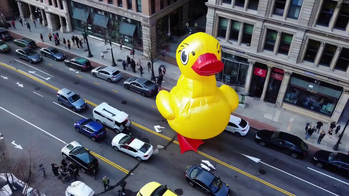 a giant duck walks through the streets in Boston