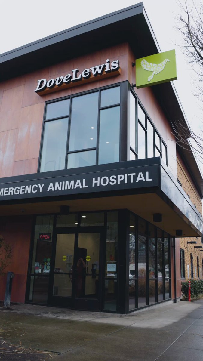 Dovelewis hotsell animal clinic