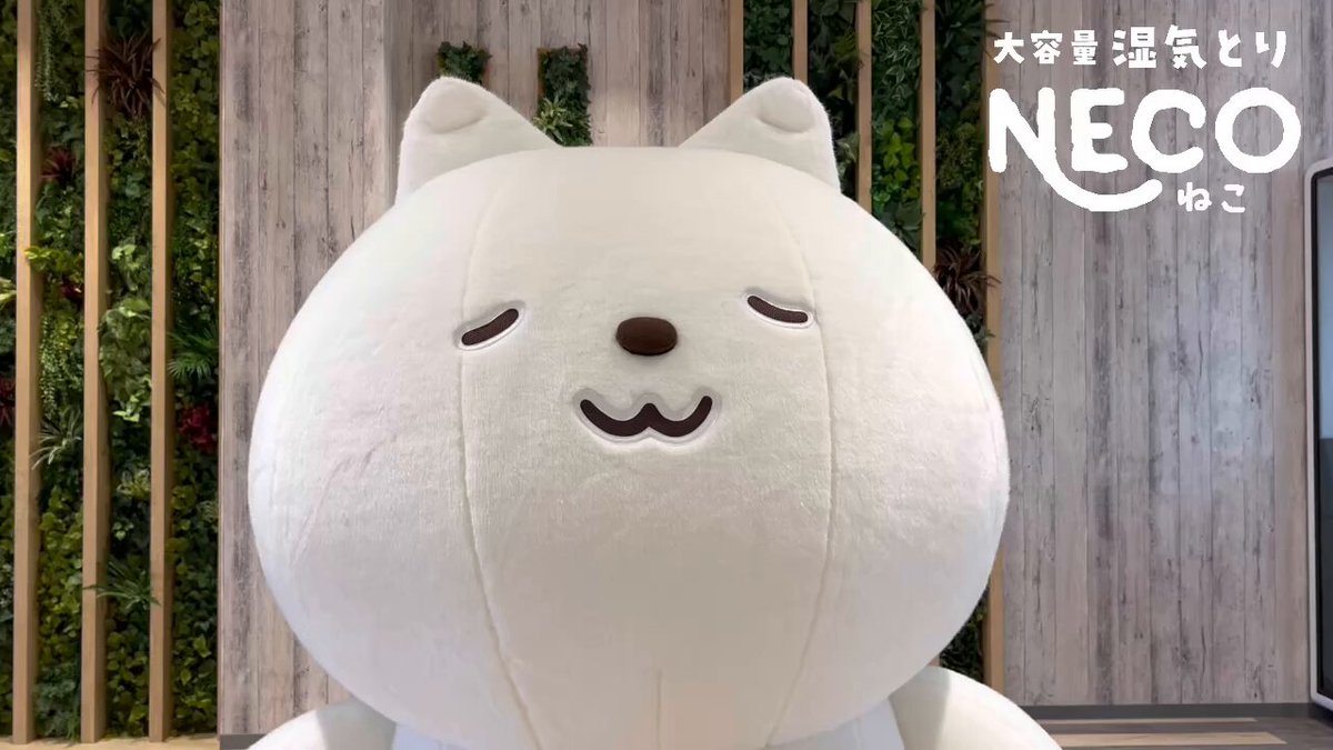 ねこにゃん ねこちゃんにゃんにゃん／西内ミナミ 清水勝｜絵本のギフト通販