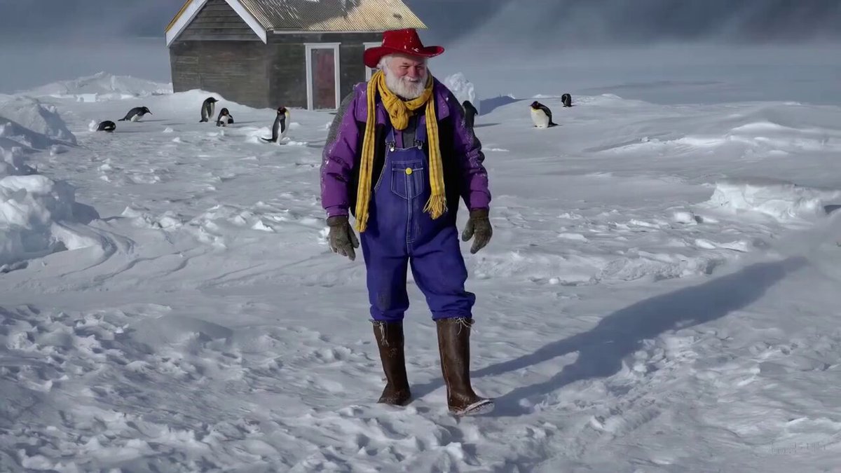 an old man wearing purple overalls and cowboy boots taking a pleasant stroll in Antarctica during a winter storm.