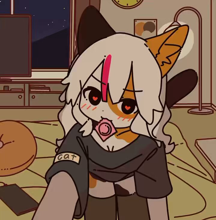 Post by ミケの人😸 on X: 三毛猫ちゃん