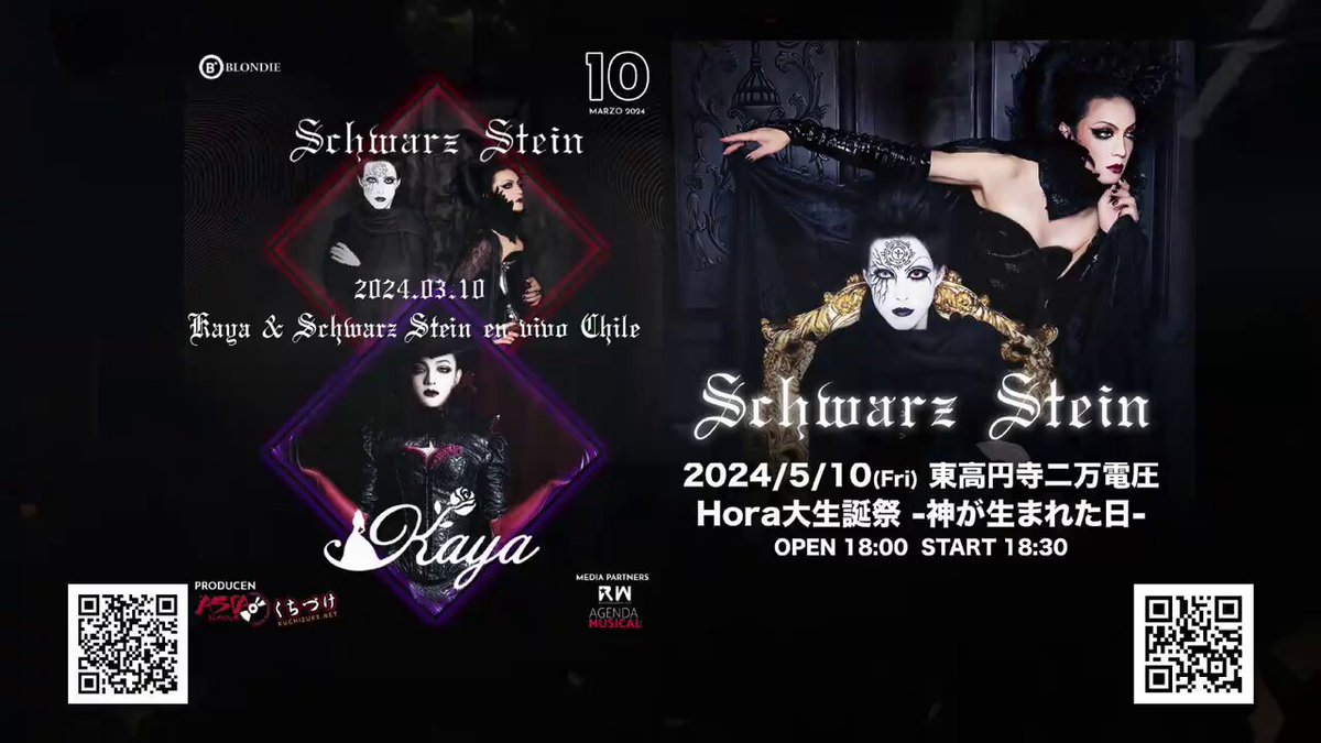 Kayaさま　専用ページ Kaya Information (@Kaya_info_news) / X
