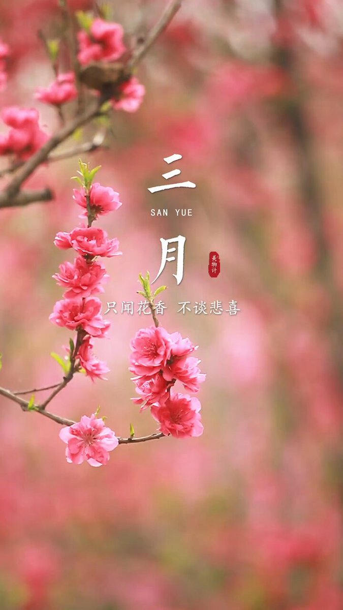 三月 - البحث / X