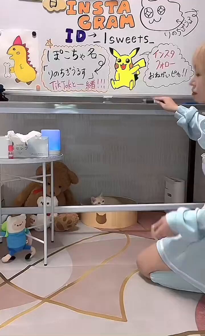 Video oleh @WandaMe22794432