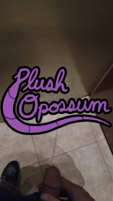 Plush Opossum’s pics and videos