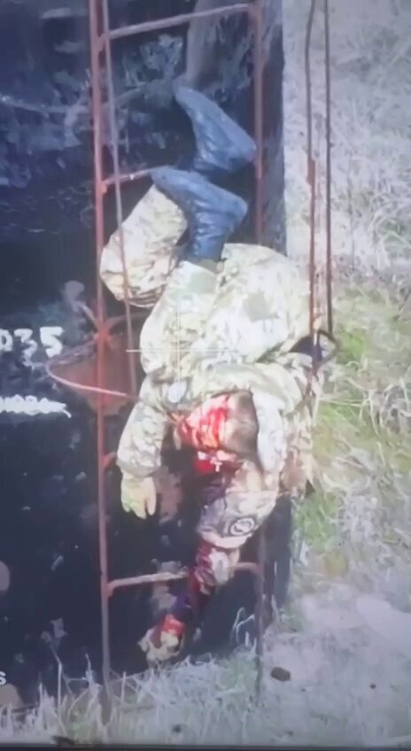 [情報] 好奇心會殺死一隻熊