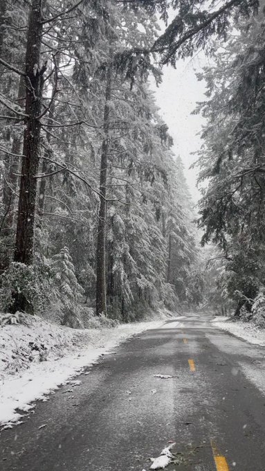 omg i'm in narnia ❄️ https://t.co/HLf0mrVYCw