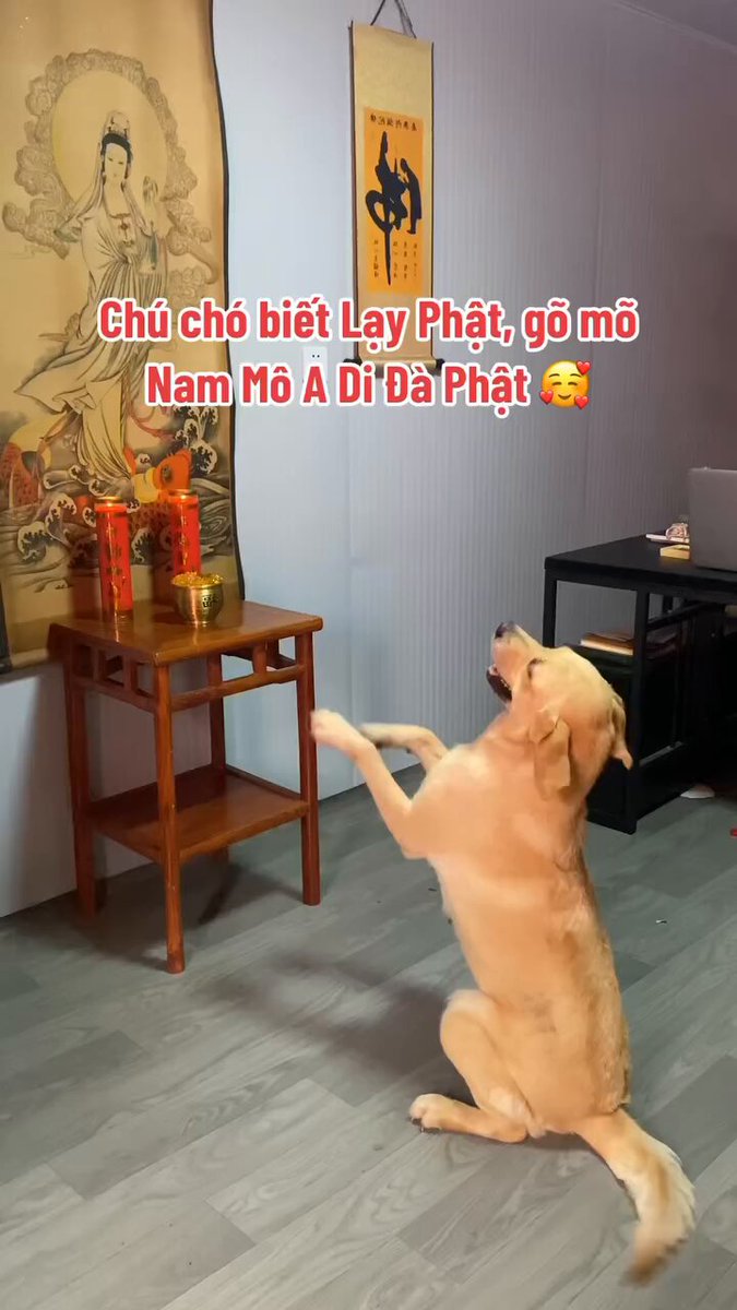 Chó Biết Lạy Phật - Khám Phá Ý Nghĩa Tâm Linh Và Câu Chuyện Đặc Biệt