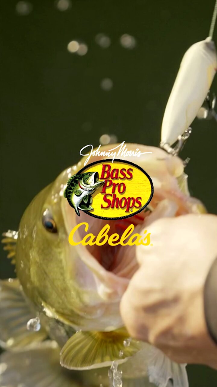 Bass Pro Shops on X: The wait is over The GREATEST fishing