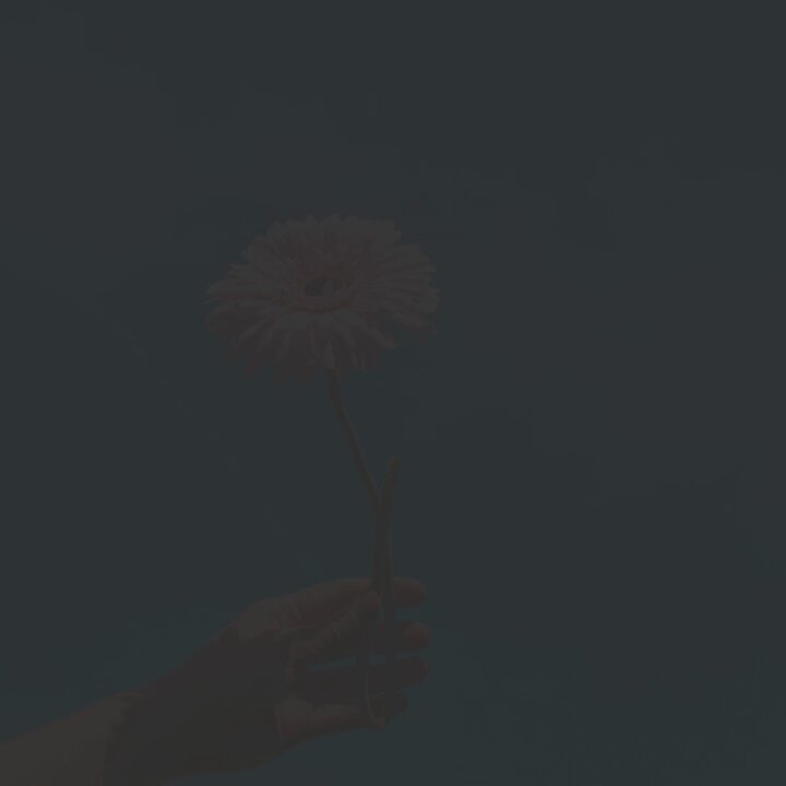 Erotik massaj Qozondagi salonlarda emas