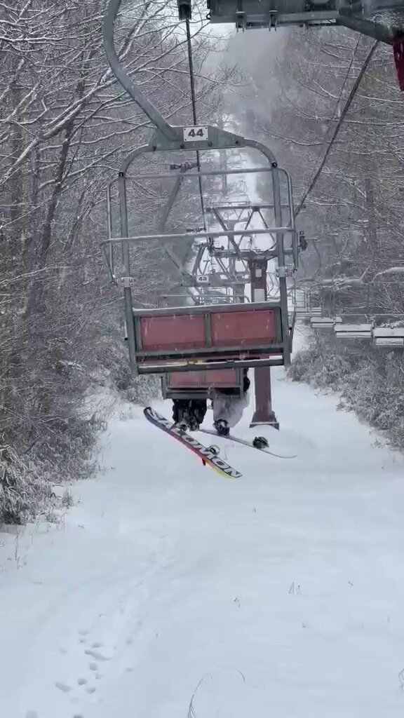 Video by @bakusai_com